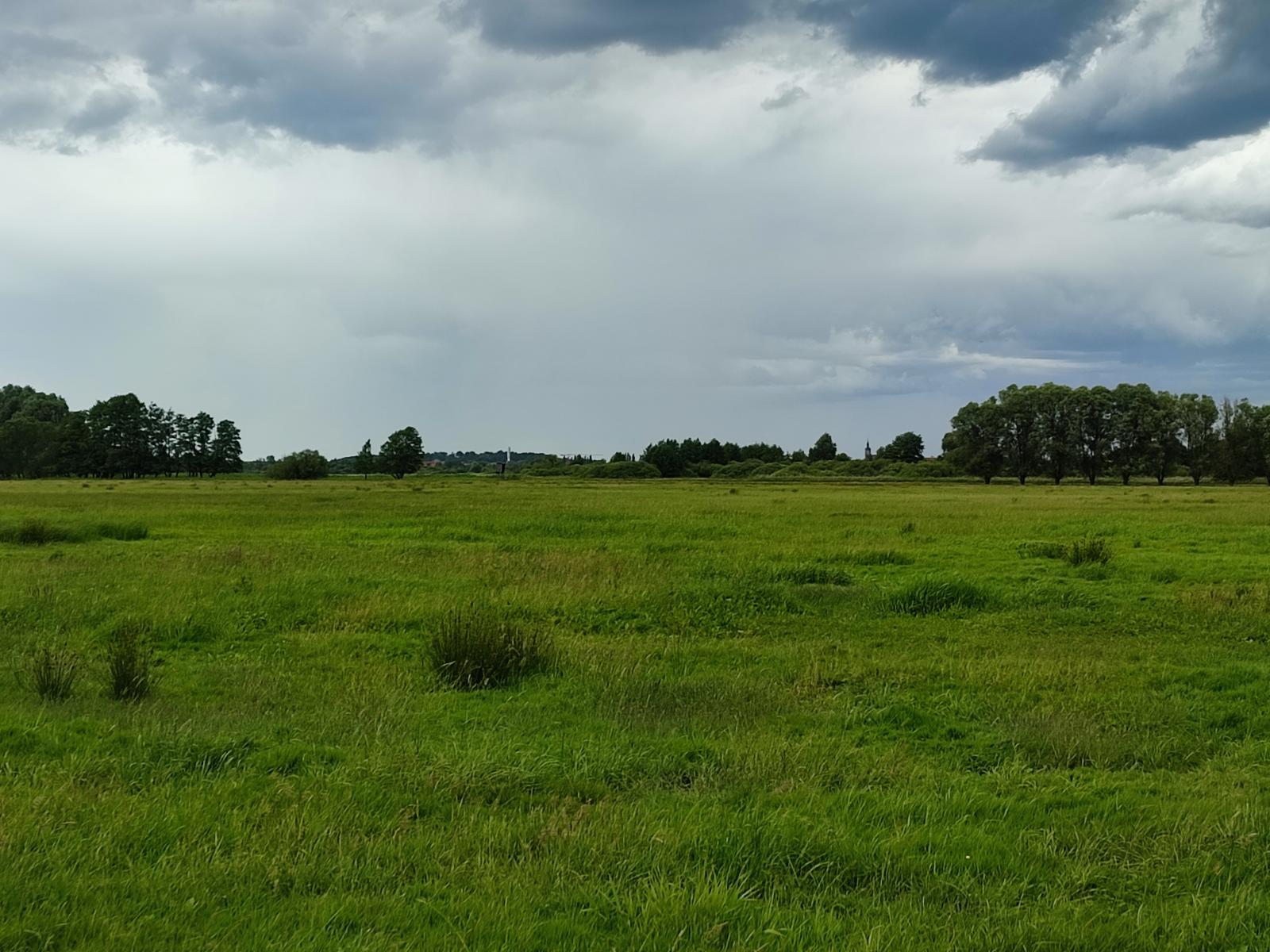 Brandenburgs entspannende Landschaften
